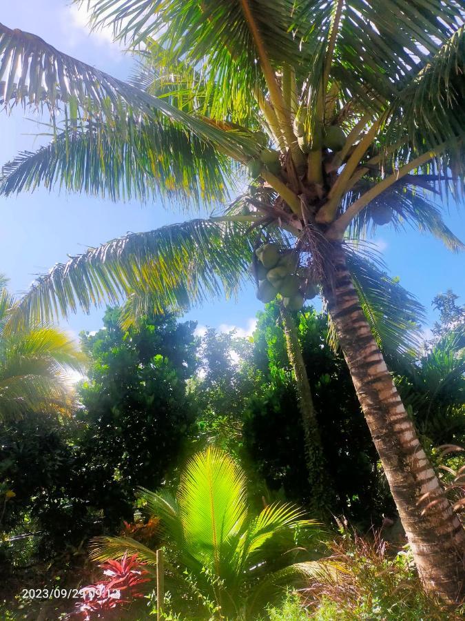 Douceur Des Hauteurs Bas De Villa, Piscine Privee Sainte-Luce Luaran gambar